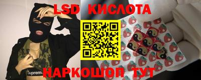 jwh Сланцы