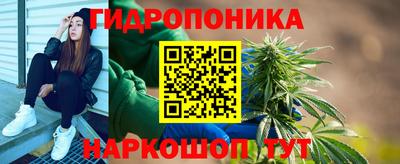 трава Славянск-на-Кубани