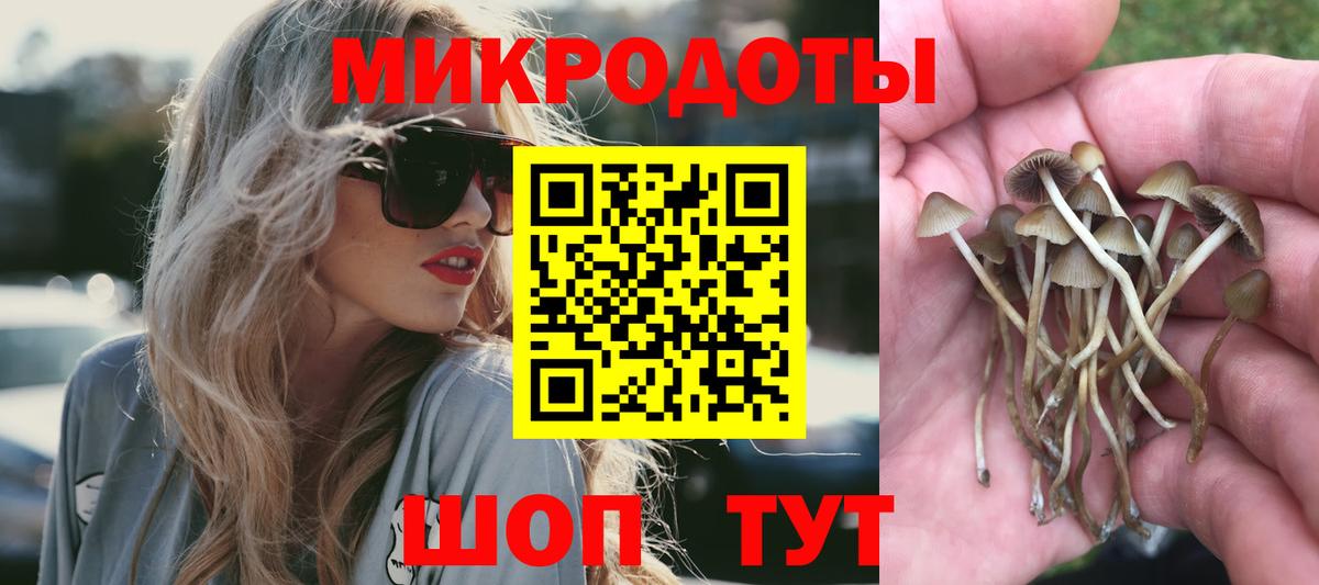 Галлюциногенные грибы прущие грибы Воткинск