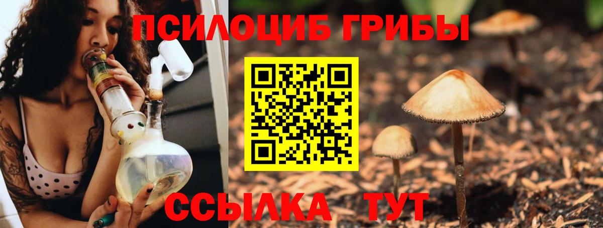 Галлюциногенные грибы Psilocybine cubensis  Галлюциногенные грибы ЛСД  Вход с VPN  Воткинск 